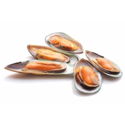 Mussel In Half Shell
