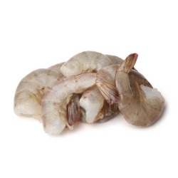 Shrimp Tail On