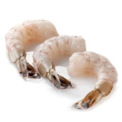 Shrimp Tail on  16/20