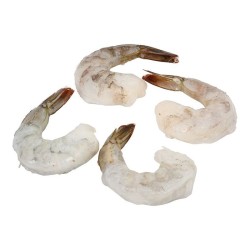 Shrimp Tail on 21/25