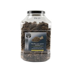 Dry Morels