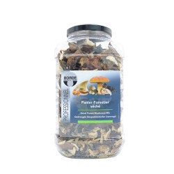Mushroom Wild Dry Cocktail